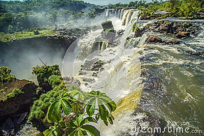 ARGENTINA-BRAZIL. The Iguassu-Falls a natural wonder in South America Vector Illustration