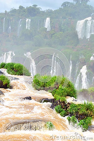 Iguazu Falls in Brazil Editorial Stock Photo