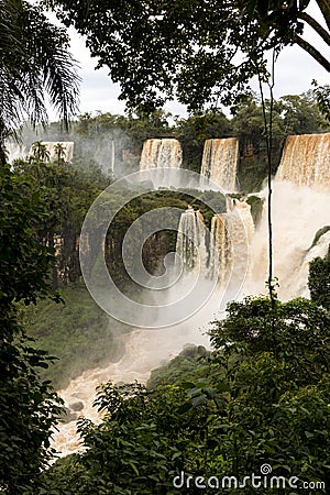 Iguazu falls veiw from argentina through the trees Stock Photo