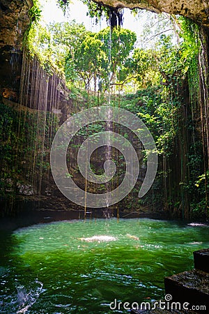 Ik-Kil Cenote near Chichen Itza, Mexico. Cenote with transparent waters and hanging roots Stock Photo