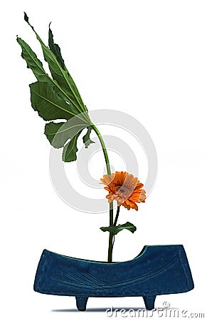 Ikebana Stock Photo