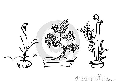 Ikebana Vector Illustration