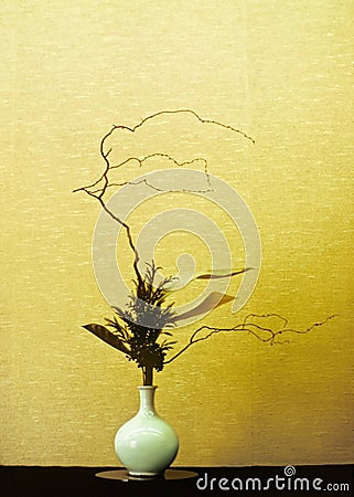 Ikebana Stock Photo