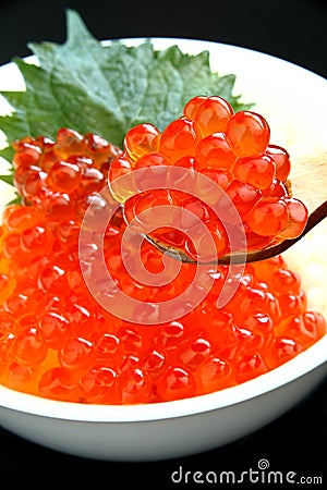 salmon caviar, Ikura Stock Photo