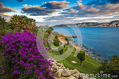 Il-Mellieha, Malta - Beautiful flowers and a sunset scene with Mellieha town, palm trees and colorful sky Stock Photo