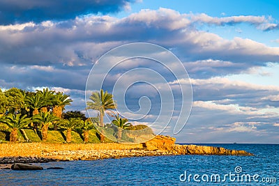 Il-Mellieha, Malta - Beautiful palm trees in the sunset near Mellieha Stock Photo