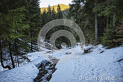 Ilanovska valley, Low Tatras mountains, Slovakia Stock Photo