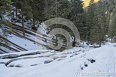 Ilanovska valley, Low Tatras mountains, Slovakia Stock Photo