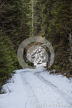 Ilanovska valley, Low Tatras mountains, Slovakia Stock Photo