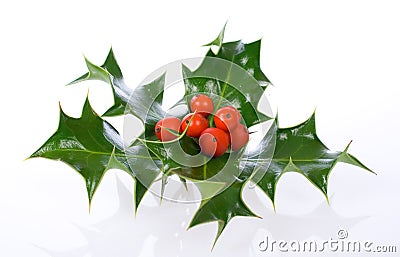 Ilex,holly, christmas decoration Stock Photo