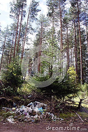 Illegal garbage dump in the forest. Garbage dump in the Park. Pile of garbage under trees. Environmental pollution. Pine forest. Stock Photo