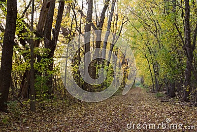 Illinois and Michigan Canal Trail in Autumn Stock Photo