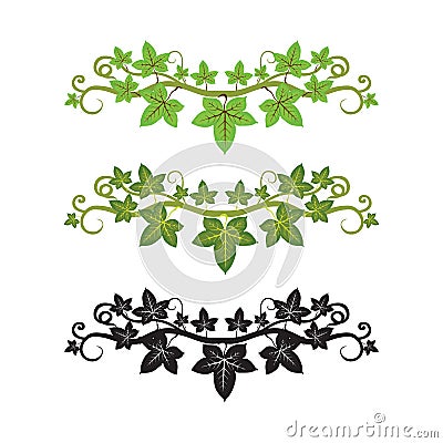 Illlusstration of ivy plant Vector Illustration