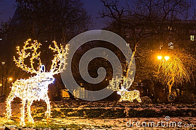 Illuminated Christmas decorations in Cismigiu park during winter, downtown Bucharest, Romania Stock Photo