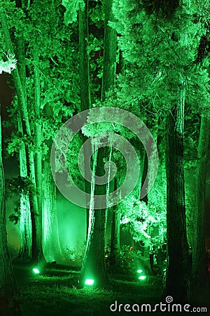 Illuminated forest at CHRISTMAS GARDEN Stock Photo