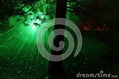 Illuminated forest at CHRISTMAS GARDEN Stock Photo