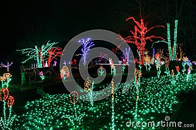 Illuminated Holiday Garden Lights Christmas Virginia Stock Photo