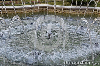 Illuminated home garden patio plants and evening party lights near small fountain. Stock Photo