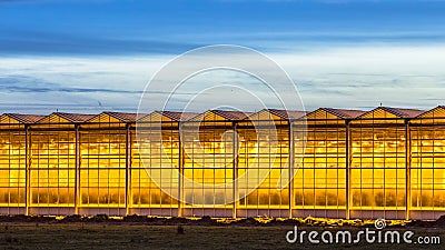 Illuminated industrial greenhouse Stock Photo