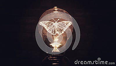 Illuminated Lightbulb With A Butterfly Inside Stock Photo