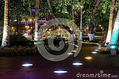 Illuminated path in the park between palm trees at night Stock Photo