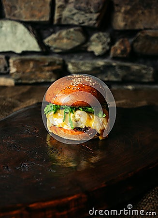 Illuminated photo of american hamburger with chuck roll meat, cheddar cheeese and other ingredietns on dark background Stock Photo