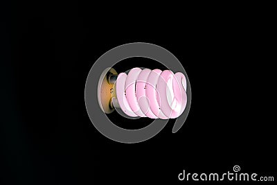 Pink CFL bulb glowing Stock Photo