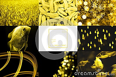 2021 Illuminating Color Collage Stock Photo