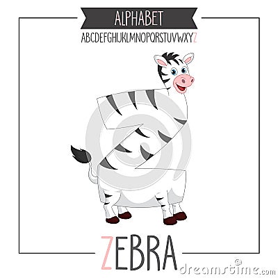 Illustrated Alphabet Letter Z and Zebra Vector Illustration