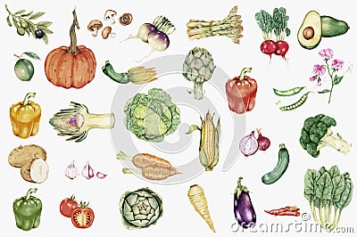 Illustrated hand drawn vegetable collection Stock Photo