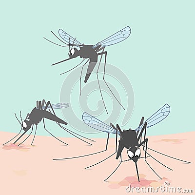 Illustrated mosquitoes bite through skin and suck human blood Vector Illustration