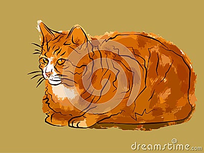 Illustrated Orange Cat Vector Illustration