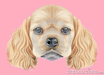 Illustrated portrait of American Cocker Spaniel puppy Stock Photo