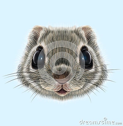 Illustrated portrait of Flying squirrel Stock Photo