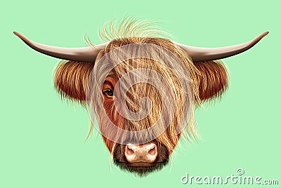 Illustrated portrait of Highland cattle Stock Photo