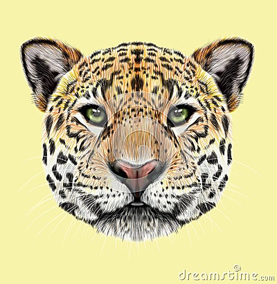 Illustrated portrait of Jaguar Stock Photo