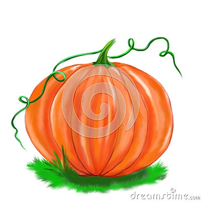 Illustrated pumpkin isolated halloween Stock Photo