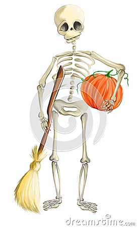 Illustrated skeleton with pumpkin and whisk Halloween Stock Photo