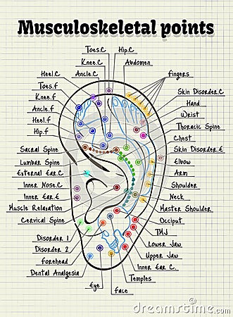 Illustration acupuncture points on the human ear Vector Illustration