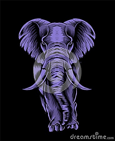 Illustration adult elephant on black background Vector Illustration