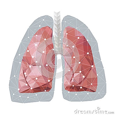 Illustration of anatomical polygonal human lungs Vector Illustration