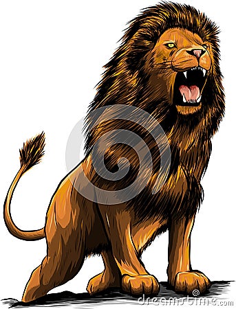 Vector Illustration of angry leaping lion in white background Vector Illustration