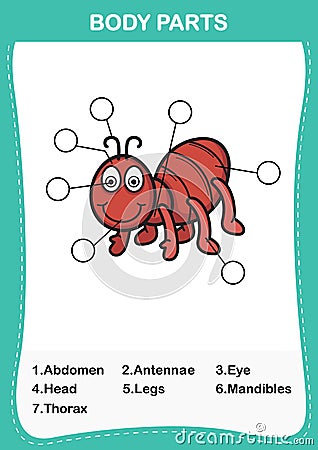 Illustration of ant vocabulary part of body Vector Illustration