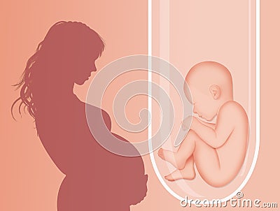 Baby in test tube Stock Photo