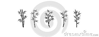 illustration with bamboo collection on white background Cartoon Illustration