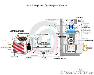 Basic Refrigeration Cycle Illustration With Process Stock Photo