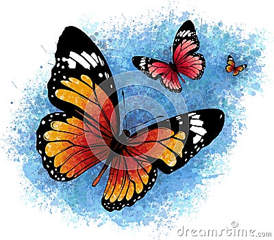 Illustration of a beautiful colorful butterfly that flies Stock Photo