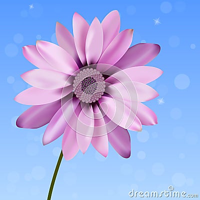 Illustration of beautiful gerbera Vector Illustration