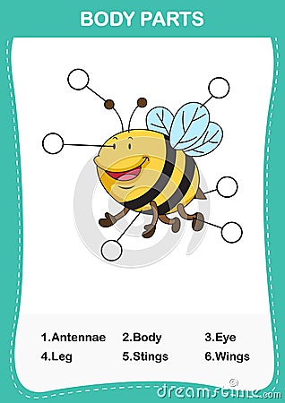 Illustration of bee vocabulary part of body Vector Illustration