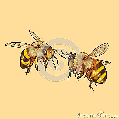 Illustration of bees flying together Stock Photo